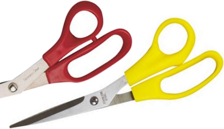 Everyday Scissors
