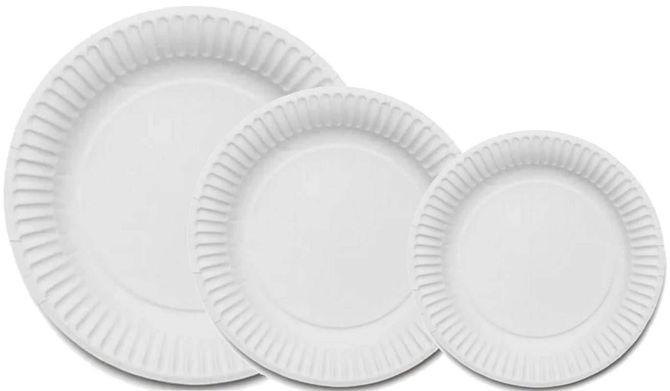 White Paper Plates